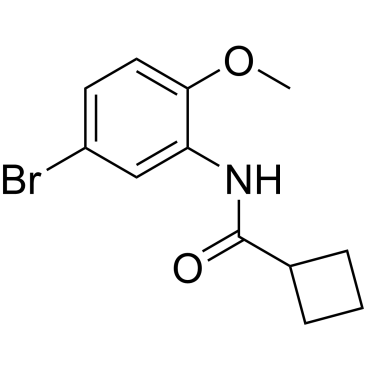N-(5-Bromo-2-methoxyphenyl)cyclobutanecarboxamide|CS-0230556