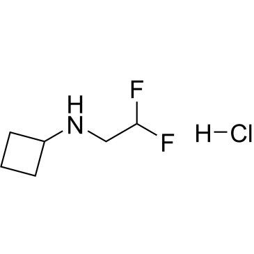 N-(2,2-Difluoroethyl)cyclobutanamine hydrochloride|CS-0230747