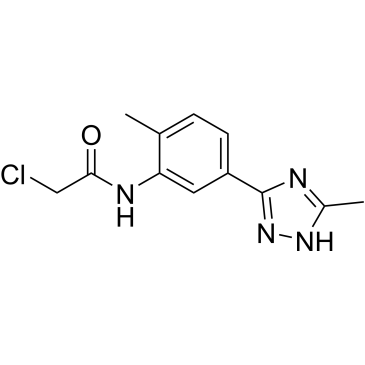 2-Chloro-n-[2-methyl-5-(5-methyl-1h-1,2,4-triazol-3-yl)phenyl]acetamide|CS-0231261