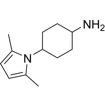 4-(2,5-Dimethyl-1h-pyrrol-1-yl)cyclohexan-1-amine, mixture of diastereomers|CS-0231324
