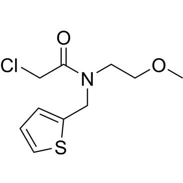 2-Chloro-N-(2-methoxyethyl)-N-(thiophen-2-ylmethyl)acetamide|CS-0233038
