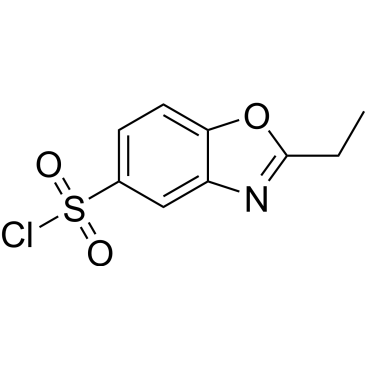 2-Ethyl-1,3-benzoxazole-5-sulfonyl chloride|CS-0233190