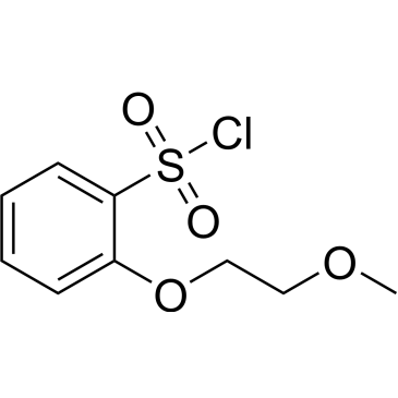 2-(2-Methoxyethoxy)benzene-1-sulfonyl chloride|CS-0233255