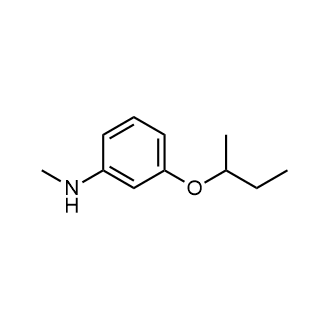 3-(Butan-2-yloxy)-n-methylaniline|CS-0235255