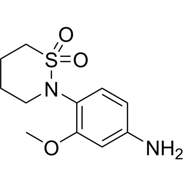 4-(1,1-dioxido-1,2-thiaZinan-2-yl)-3-methoxyaniline|CS-0236458