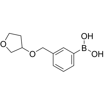 {3-[(oxolan-3-yloxy)methyl]phenyl}boronic acid|CS-0239227