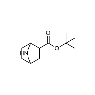 Tert-butyl 7-azabicyclo[2.2.1]heptane-2-carboxylate|CS-0239426