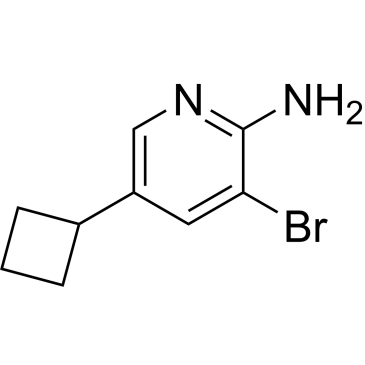 3-Bromo-5-cyclobutylpyridin-2-amine|CS-0240081