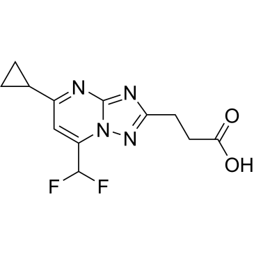3-[5-cyclopropyl-7-(difluoromethyl)-[1,2,4]triazolo[1,5-a]pyrimidin-2-yl]propanoic acid|CS-0241252