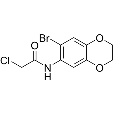 N-(7-Bromo-2,3-dihydro-1,4-benzodioxin-6-yl)-2-chloroacetamide|CS-0242177