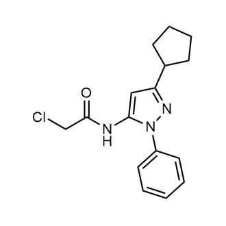 2-Chloro-n-(3-cyclopentyl-1-phenyl-1h-pyrazol-5-yl)acetamide|CS-0242271