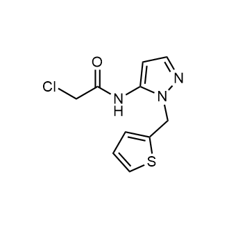 2-Chloro-n-[1-(thiophen-2-ylmethyl)-1h-pyrazol-5-yl]acetamide|CS-0242276