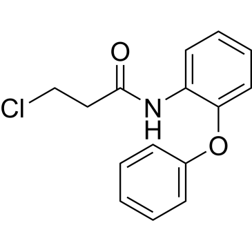 3-Chloro-n-(2-phenoxyphenyl)propanamide|CS-0243060