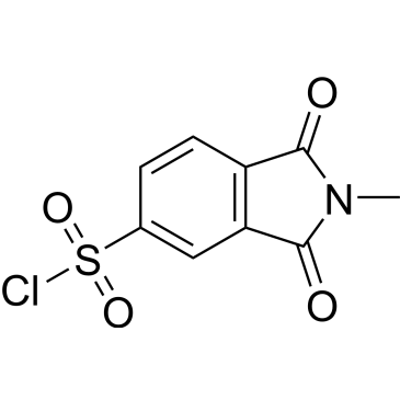 2-Methyl-1,3-dioxo-2,3-dihydro-1h-isoindole-5-sulfonyl chloride|CS-0244564