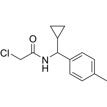2-Chloro-n-[cyclopropyl(4-methylphenyl)methyl]acetamide|CS-0244583