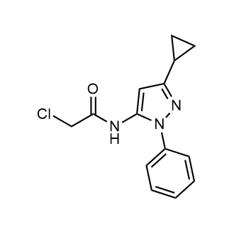 2-Chloro-n-(3-cyclopropyl-1-phenyl-1h-pyrazol-5-yl)acetamide|CS-0244937