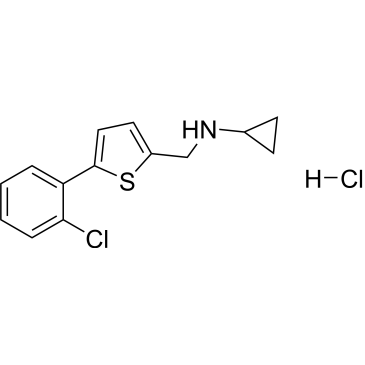 N-{[5-(2-Chlorophenyl)thiophen-2-yl]methyl}cyclopropanamine hydrochloride|CS-0246024