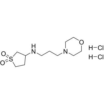 3-{[3-(morpholin-4-yl)propyl]amino}-1λ6-thiolane-1,1-dione dihydrochloride|CS-0246763
