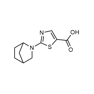 2-{2-azabicyclo[2.2.1]heptan-2-yl}-1,3-thiazole-5-carboxylic acid|CS-0247753