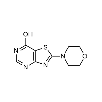 2-(Morpholin-4-yl)-6h,7h-[1,3]thiazolo[4,5-d]pyrimidin-7-one|CS-0249083