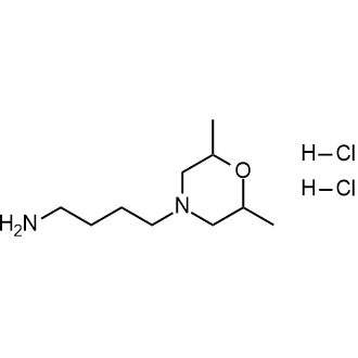 4-(2,6-Dimethylmorpholin-4-yl)butan-1-amine dihydrochloride|CS-0249145