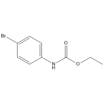 7451-53-8 | Ethyl n-(4-bromophenyl)carbamate | ChemScene llc