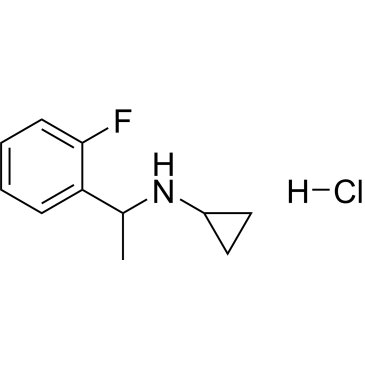 N-[1-(2-Fluorophenyl)ethyl]cyclopropanamine hydrochloride|CS-0249596
