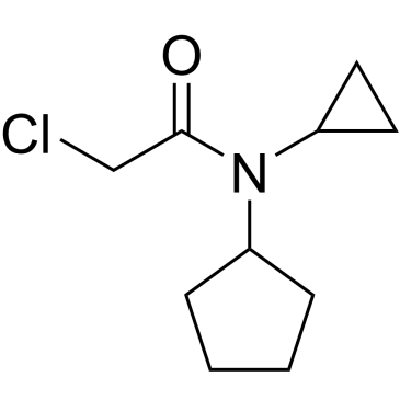 2-Chloro-n-cyclopentyl-n-cyclopropylacetamide|CS-0249936