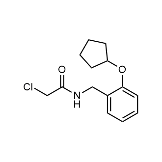 2-Chloro-n-{[2-(cyclopentyloxy)phenyl]methyl}acetamide|CS-0249956
