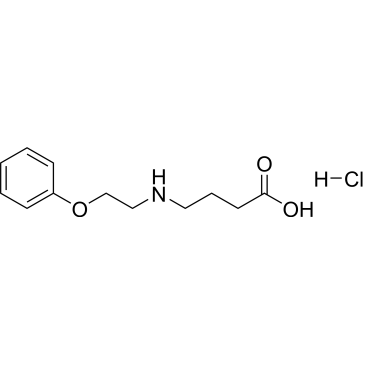 4-[(2-phenoxyethyl)amino]butanoic acid hydrochloride|CS-0250779