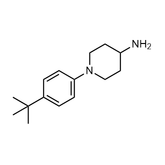 1-(4-Tert-butylphenyl)piperidin-4-amine|CS-0251143