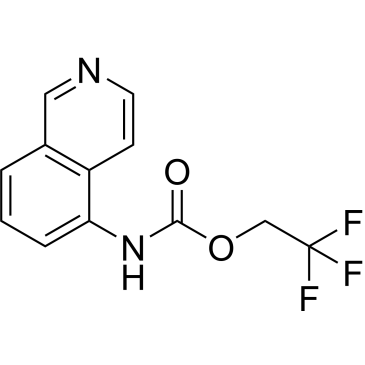 2,2,2-Trifluoroethyl n-(isoquinolin-5-yl)carbamate|CS-0251278