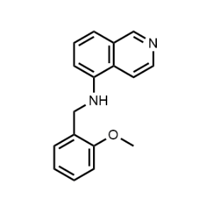 N-[(2-Methoxyphenyl)methyl]isoquinolin-5-amine|CS-0251649