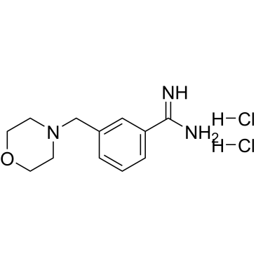 3-(Morpholin-4-ylmethyl)benzene-1-carboximidamide dihydrochloride|CS-0252070
