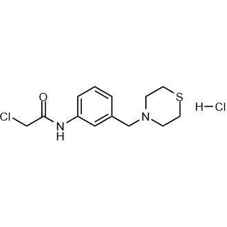 2-Chloro-n-[3-(thiomorpholin-4-ylmethyl)phenyl]acetamide hydrochloride|CS-0252611