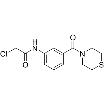 2-Chloro-n-[3-(thiomorpholine-4-carbonyl)phenyl]acetamide|CS-0252648