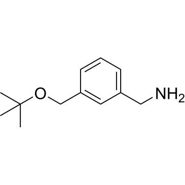 {3-[(tert-butoxy)methyl]phenyl}methanamine|CS-0253546