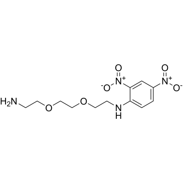 DNP-PEG2-NH2|CS-0254389