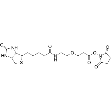 2,5-Dioxopyrrolidin-1-yl 3-(2-(5-(2-oxohexahydro-1H-thieno[3,4-d]imidazol-4-yl)pentanamido)ethoxy)propanoate|CS-0254587