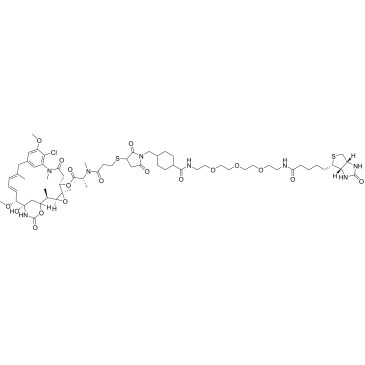 DM1-MCC-PEG3-Biotin|CS-0254647