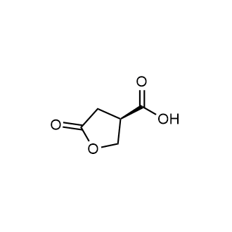 (R)-5-Oxotetrahydrofuran-3-carboxylic acid|CS-0255088
