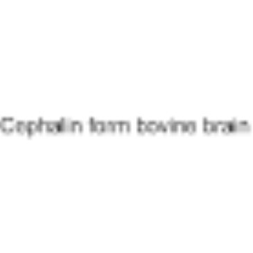 Cephalin form bovine brain|CS-0255935