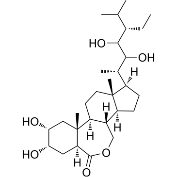 Homobrassinolide|CS-0255997