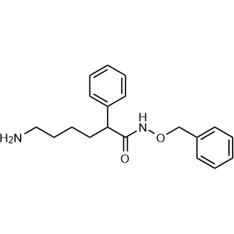 6-Amino-N-(benzyloxy)-2-phenylhexanamide|CS-0256131