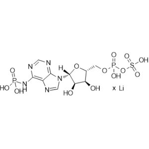 Adenosine 3'-phosphate 5'-phosphosulfate lithium|CS-0256307