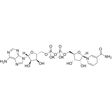 β-Nicotinamide adenine dinucleotide reduced dipotassium|CS-0256309