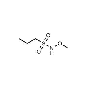 N-Methoxypropane-1-sulfonamide|CS-0257535