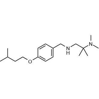 Dimethyl[2-methyl-1-({[4-(3-methylbutoxy)phenyl]methyl}amino)propan-2-yl]amine|CS-0258137