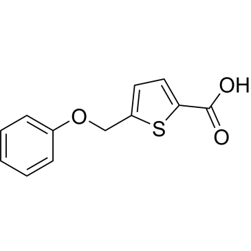 5-(Phenoxymethyl)thiophene-2-carboxylic acid|CS-0258368