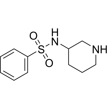 N-(Piperidin-3-yl)benzenesulfonamide|CS-0258500